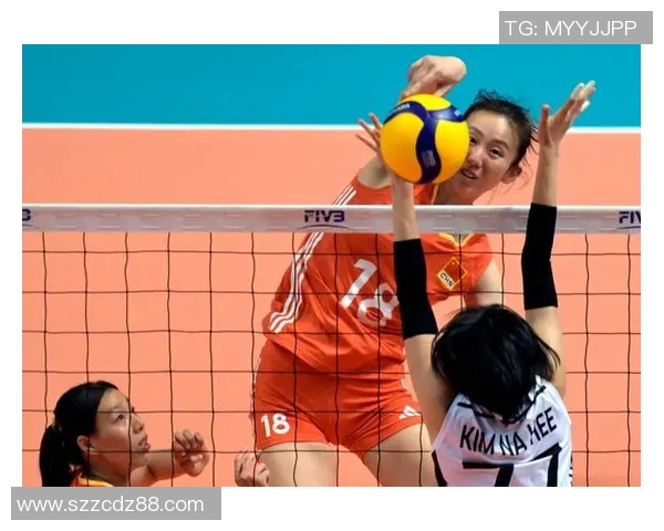 杭州排球队在冠军赛中的实力展现与未来发展潜力分析