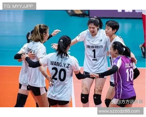 上海排球队的节奏与战术解析聚焦排球运动的魅力与挑战