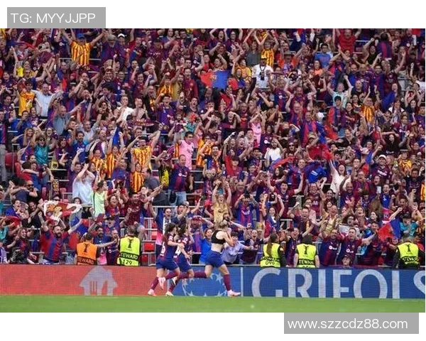 世界杯决赛荣耀之战：足球巅峰对决与历史传承的完美融合